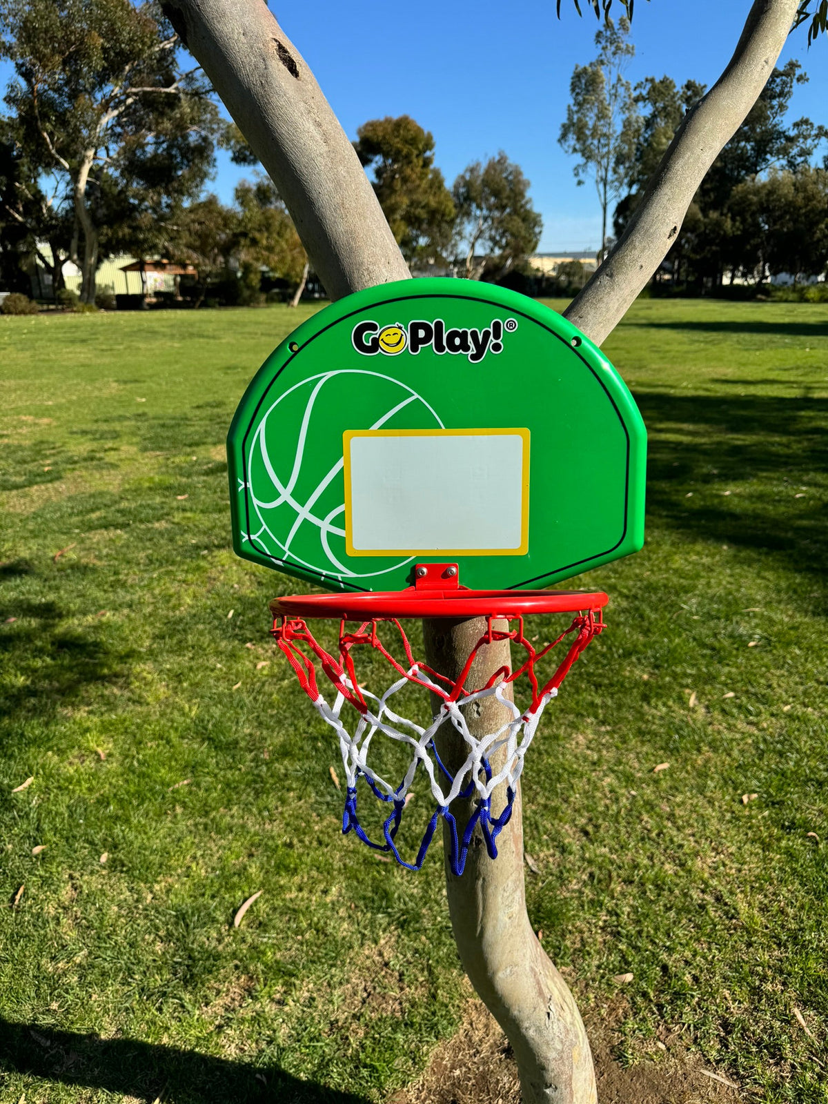Image of basketball backboard and hoop attached to a tree in a park